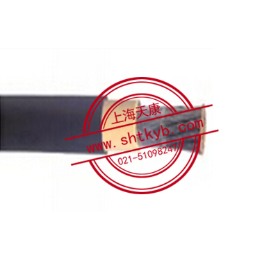 橡皮絕緣丁腈護(hù)套引接線(xiàn)