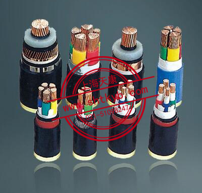 聚氯乙烯絕緣聚氯乙烯護套控制電纜