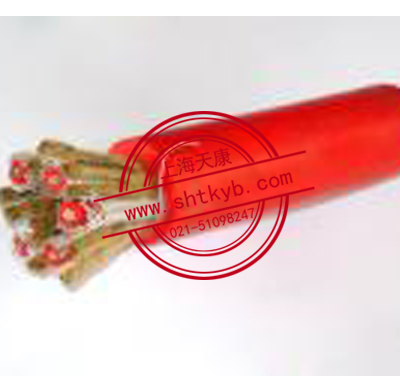 ZR-DJFPVPR、ZR-DJFP2VP2 ZR-DJFPFP耐高溫計算機電纜