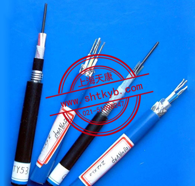 本質(zhì)安全電路計算機屏蔽電纜(包括本安用DCS電纜)