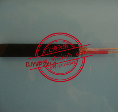 DJYVP 2*1.0計算機屏蔽電纜