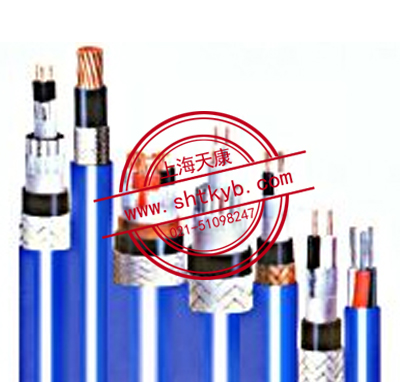 本安信號控制電纜