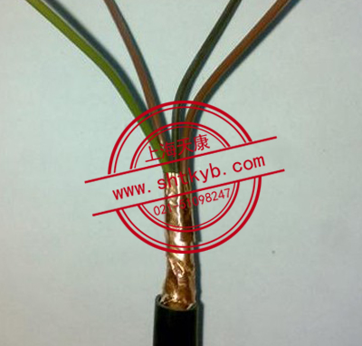 本質(zhì)安全電路用計算機屏蔽電纜(包括本安用DCS電纜)