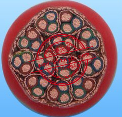 DJFP3G DJFP2GP2R硅橡膠護套計算機軟電纜