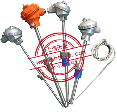 裝配式熱電偶WRN-625