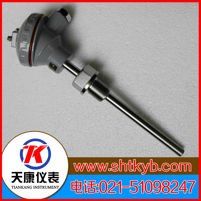 裝配式熱電偶WRC2-231G