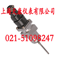 鎧裝熱電阻WZPK-263